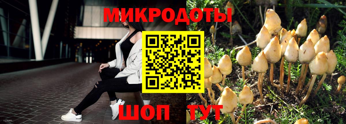 Воркута  Псилоцибиновые грибы Cubensis  Вход с VPN 